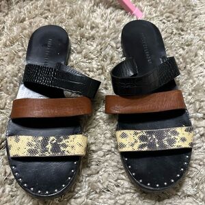 Freda Salvador Black and Brown Multi-Strap Sandals